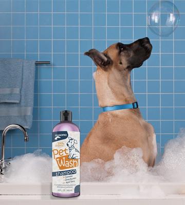 OxGord Organic Oatmeal Pet Shampoo with Conditioner - Bestadvisor