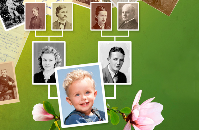 Best Family Tree Software to Find Your Roots  