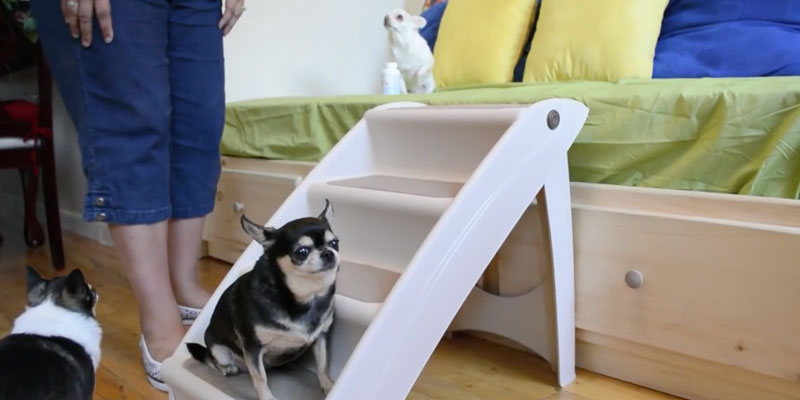Review of Solvit Pup Step Plus Pet Stairs