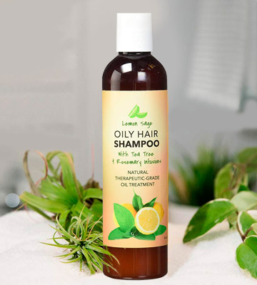 Honeydew Volumizing Shampoo For Oily Hair - Bestadvisor