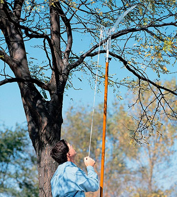 Fiskars Extendable Tree Pruner - Bestadvisor