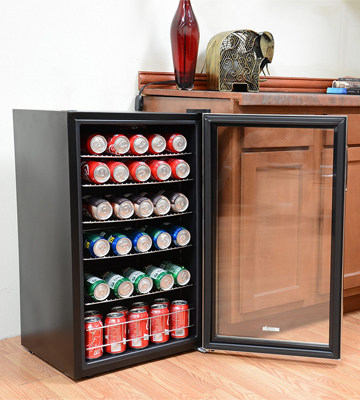 Euhomy BR-115 Beverage Refrigerator and Cooler - Bestadvisor