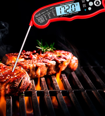 Alpha Grillers Vegena Meat Thermometer For Grill And Cooking - Bestadvisor