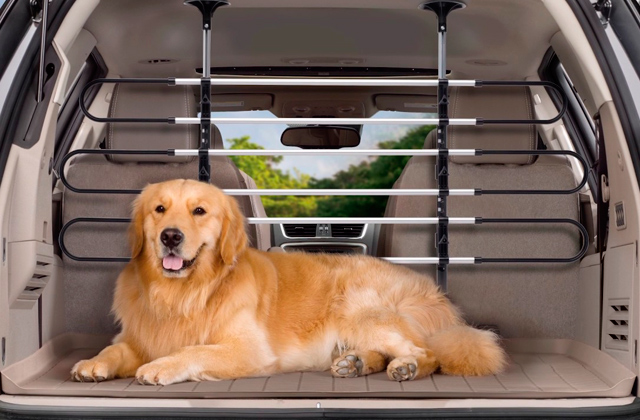 Best Pet Car Protectors and Barriers  