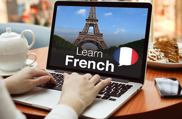 Comparison of Ways to Learn French