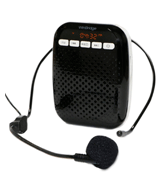 WinBridge 378N Voice Amplifier