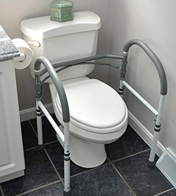 Vaunn Stand-alone Safety Toilet Rail - Bestadvisor