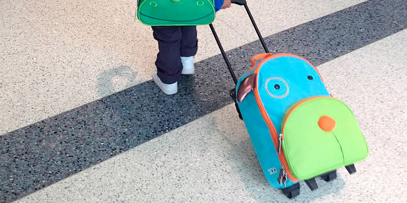 Review of Skip Hop Darby Dog Kids Rolling Luggage