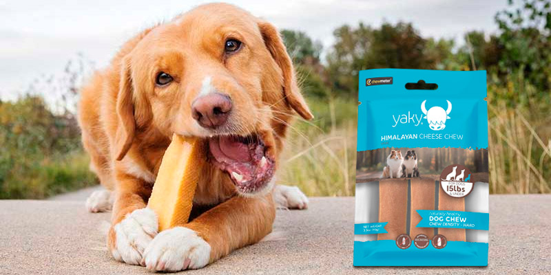 Review of Himalayan Pet Supply Cheese Dog Chew