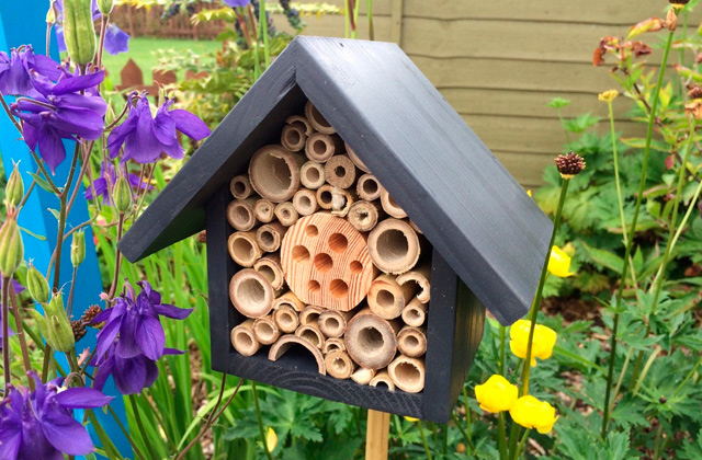Best Bee Houses to Boost Your Garden's Productivity  
