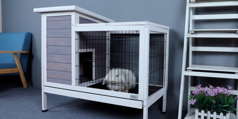 Review of Petsfit Rabbit Hutch Bunny Cage for Indoor Use
