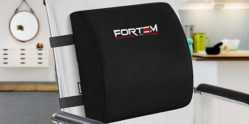 Review of FORTEM THE EXTRA MILE FRTM-17-15-LS Lumbar Support for Office Chair | Back Pillow for Car | Memory Foam Orthopedic Cushion