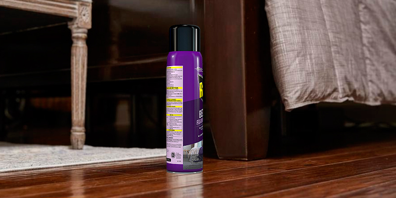 Review of Raid Non-Staining Bed Bug Foaming Spray