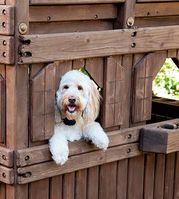 PetSafe In-Ground Rechargeable Pet Fencing System - Bestadvisor