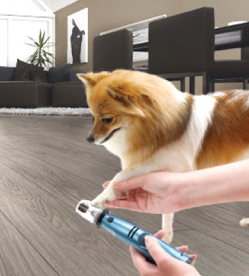 Oster Gentle Paws Less Stress Dog and Cat Nail Grinder - Bestadvisor