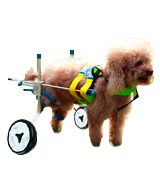 Homend Adjustable Dog Wheelchair