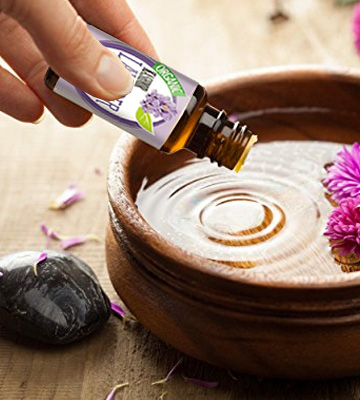 Healing Solutions 100% Pure Lavender Essential Oil - Bestadvisor