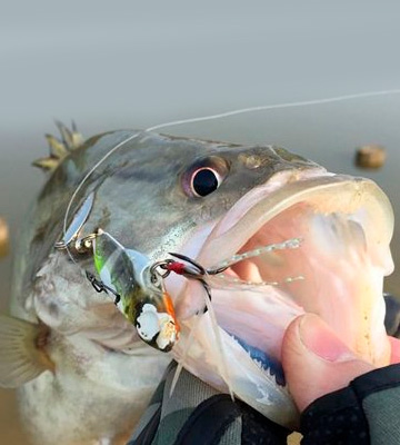 Sptlimes 77-Pcs Fishing Lures Kit Set For Bass,Trout,Salmon - Bestadvisor