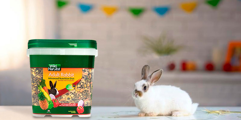 Review of Wild Harvest Advanced Nutrition Diet For Rabbits