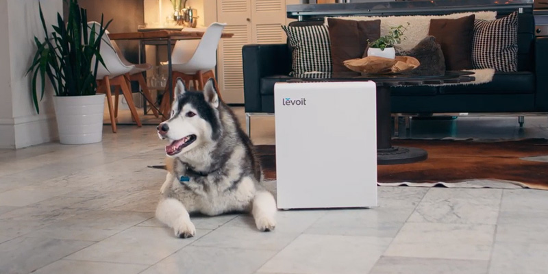 Review of Levoit Smart Wi-Fi Air Purifier