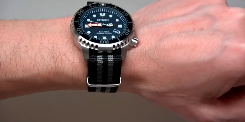 Detailed review of Citizen BN0151-09L Watches Men's Promaster Professional Diver - Bestadvisor
