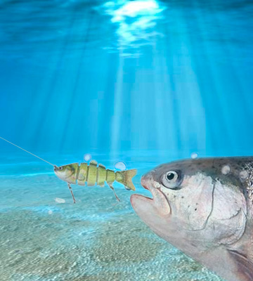 ACEXPNM Fishing Bass Lure Multi Jointed Artificial Bait Segment Lifelike Trout Swimbait Hard Crankbait 6# - Bestadvisor