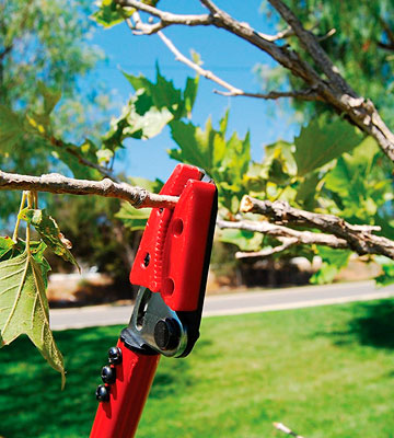 Corona LR 3460 Long Reach Tree Cut and Hold Pruner - Bestadvisor
