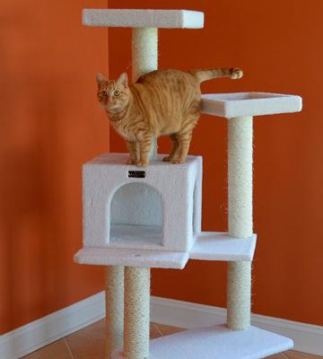 Armarkat Cat Tree Furniture Condo - Bestadvisor