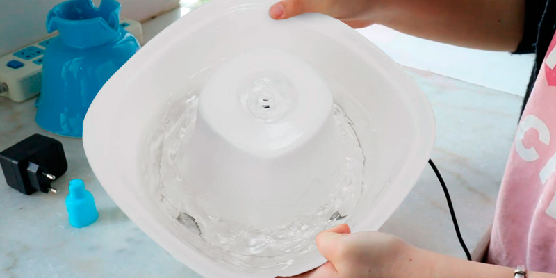 IPETTIE Tritone Ceramic Pet Drinking Fountain in the use - Bestadvisor