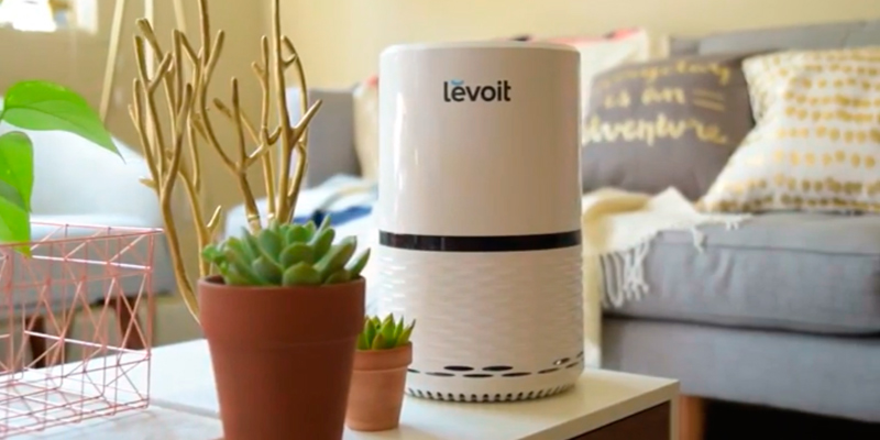 Review of Levoit LV-H132 Air Purifier Filtration with True HEPA Filter