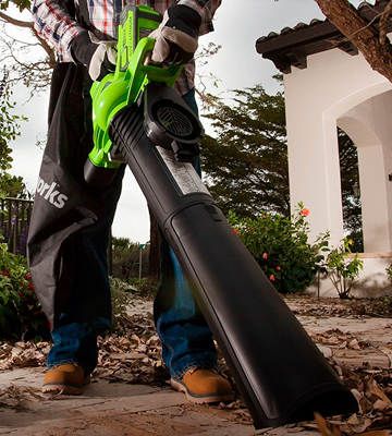 GreenWorks (24322) Cordless Leaf Blower & Vacuum, 4Ah Battery and Charger Included - Bestadvisor