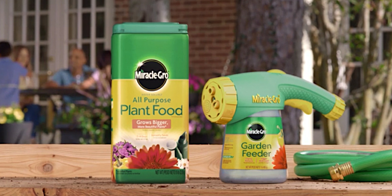 Review of Miracle-Gro Water Soluble All Purpose Plant Food