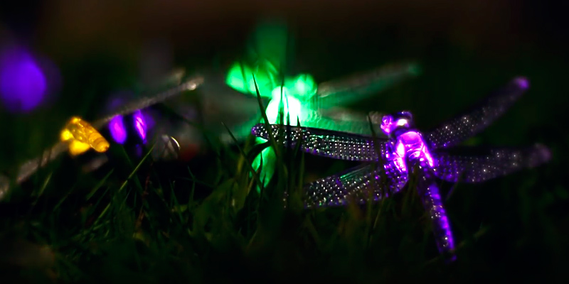 Review of Icicle J&LS-1AA-20L Dragonfly Solar String Lights