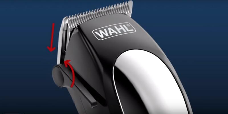 Wahl 9766 Home Pet Wireless Rechargeable Clipper Kit in the use - Bestadvisor
