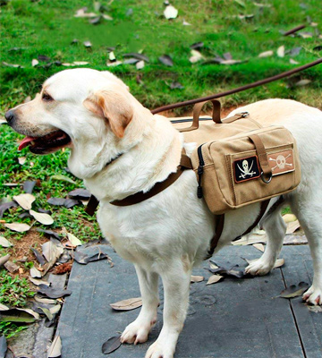 Lalawow Saddle Bag Rucksack For Travel MULTIPURPOSE USE DESIGN - Bestadvisor