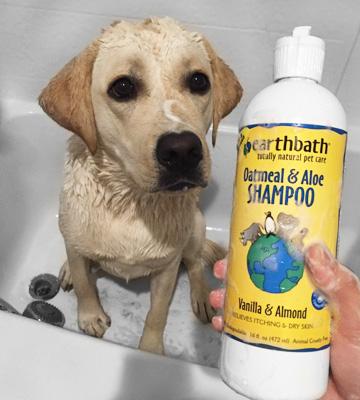 Earthbath All Natural Pet Shampoo with Conditioner - Bestadvisor