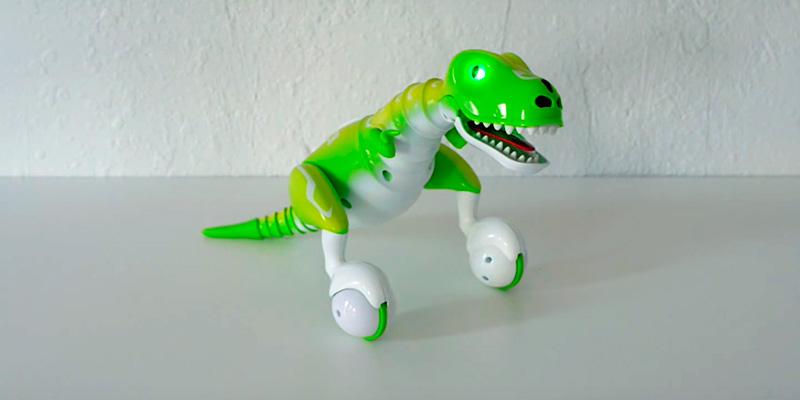 Review of Zoomer Dino Remote Control Robot