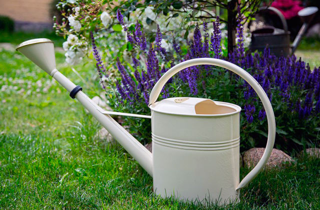 Best Watering Cans for Your Beautiful Garden  