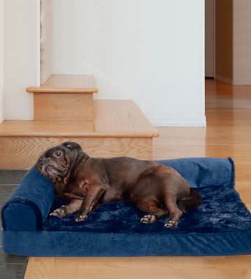 Furhaven Plush Orthopedic L-Shaped Chaise Lounger & Traditional Sofa-Style Dog Bed - Bestadvisor