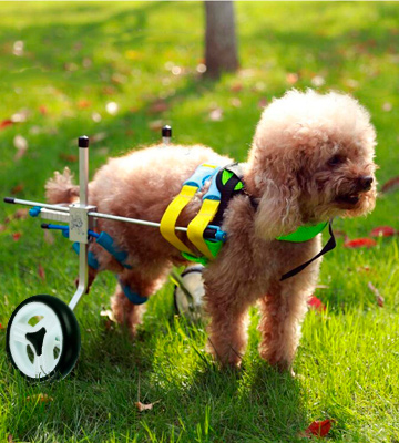 Homend Adjustable Dog Wheelchair - Bestadvisor