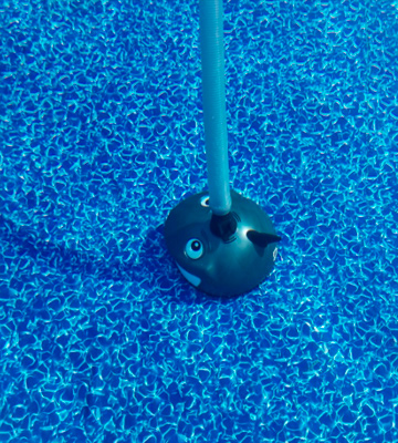 Review of Pentair 360100 Above Ground Pool Cleaner