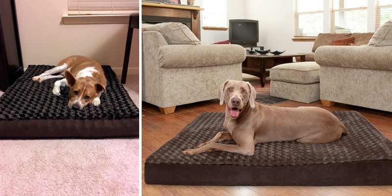 Review of Furhaven Traditional Orthopedic Rectangular Mattress Dog Bed