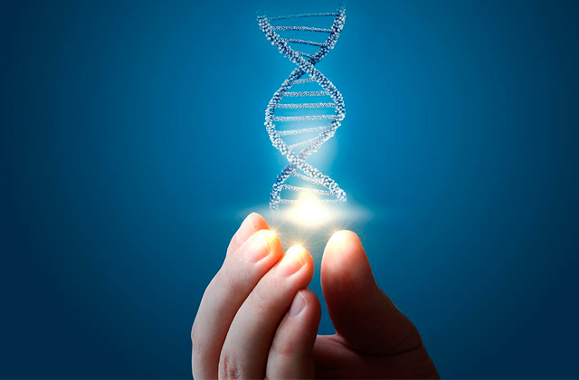 Best DNA Testing Services  
