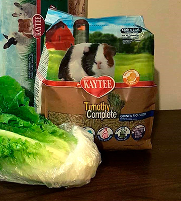 Kaytee Timothy Complete Guinea Pig Food - Bestadvisor