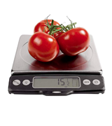 OXO Good Grips 11 lb Stainless Steel Food Scale