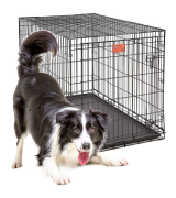MidWest Homes for Pets Metal XL Dog Crate