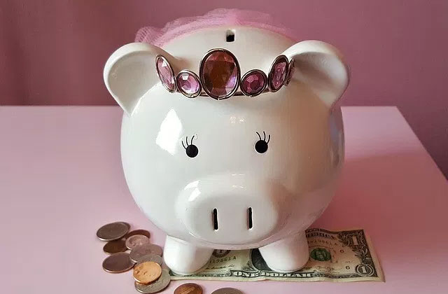 Best Piggy Banks for Adults and Children  