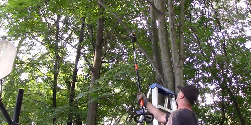 Detailed review of Remington RM2599 Gas Pole Chainsaw - Bestadvisor