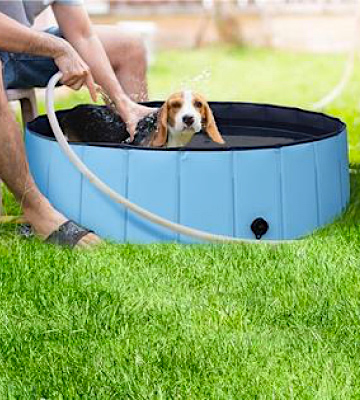 Yaheetech Foldable Hard Plastic Dog Pet Bath Swimming Pool - Bestadvisor