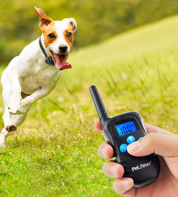 Petrainer PET998DBB 330 Remote Dog Training E-collar - Bestadvisor